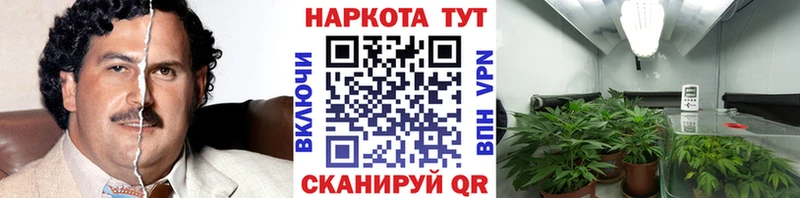 Названия наркотиков Холм A-PVP Мефедрон блэк спрут онион ГАШИШ