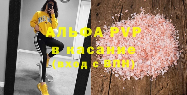 индика Абаза