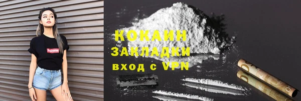 индика Абаза