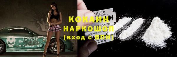 индика Абаза