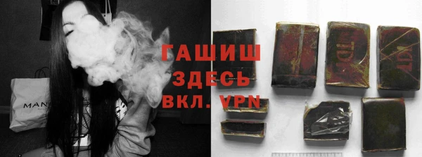 индика Абаза
