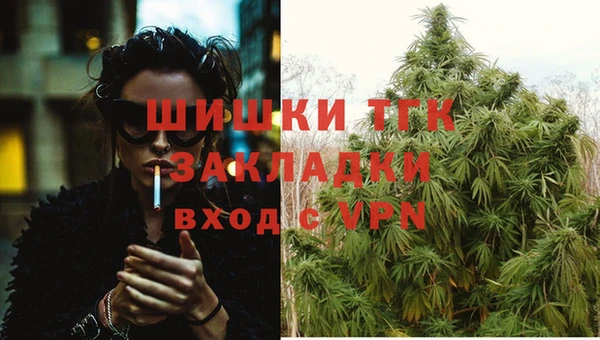 индика Абаза