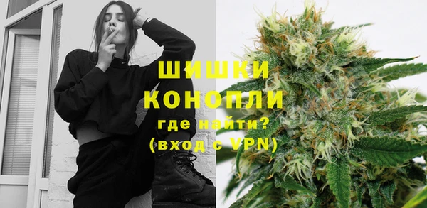 индика Абаза