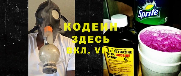 индика Абаза