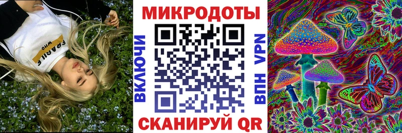 Галлюциногенные грибы Cubensis  Холм 